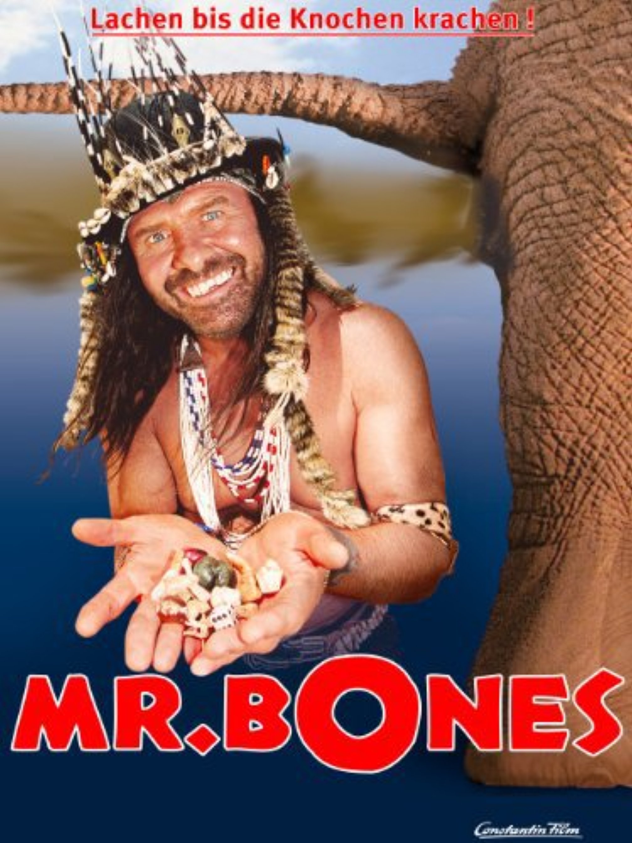 Mr. Bones (2001) movie poster download